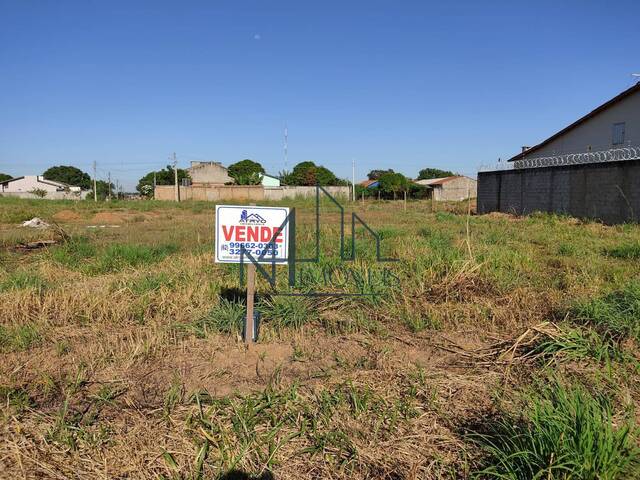 #137 - Terreno para Venda em Aparecida de Goiânia - GO - 2