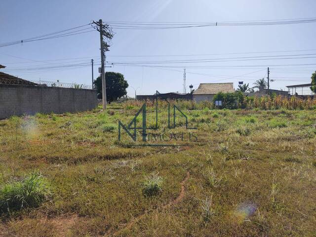 #137 - Terreno para Venda em Aparecida de Goiânia - GO - 3