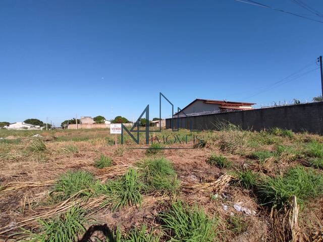 #137 - Terreno para Venda em Aparecida de Goiânia - GO - 1