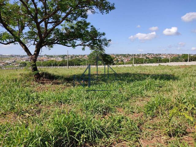 #382 - Terreno em condomínio para Venda em Aparecida de Goiânia - GO - 3