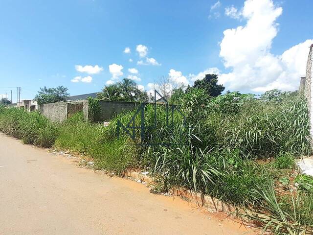 #468 - Terreno para Venda em Aparecida de Goiânia - GO - 2