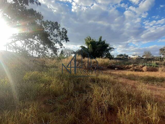 #677 - Terreno para Venda em Aparecida de Goiânia - GO - 1