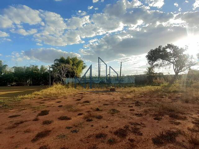 #677 - Terreno para Venda em Aparecida de Goiânia - GO - 3