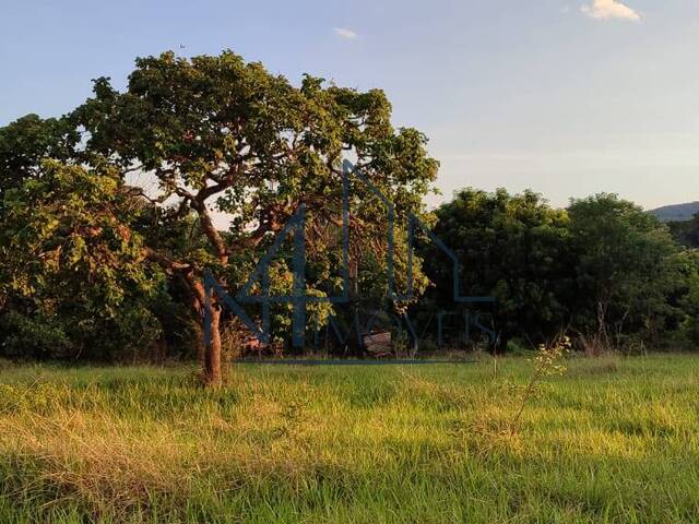 #900 - Área para Venda em Mairipotaba - GO