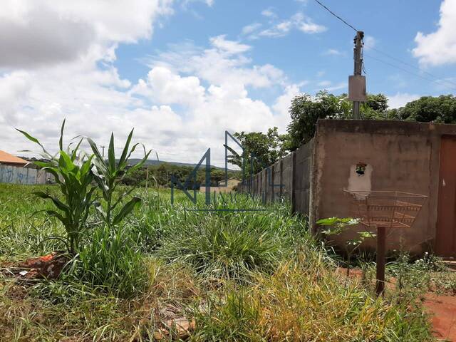 #989 - Terreno para Venda em Aparecida de Goiânia - GO - 3