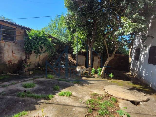 #1056 - Terreno para Venda em Aparecida de Goiânia - GO - 2