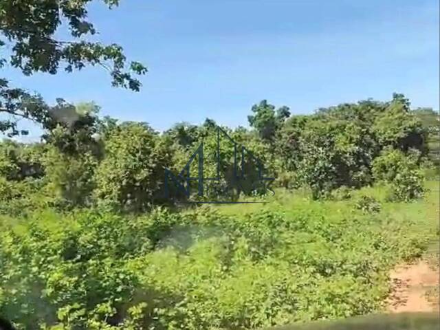 #1574 - Fazenda para Venda em Bom Jardim de Goiás - GO - 1