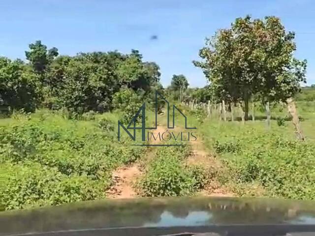 #1574 - Fazenda para Venda em Bom Jardim de Goiás - GO - 2