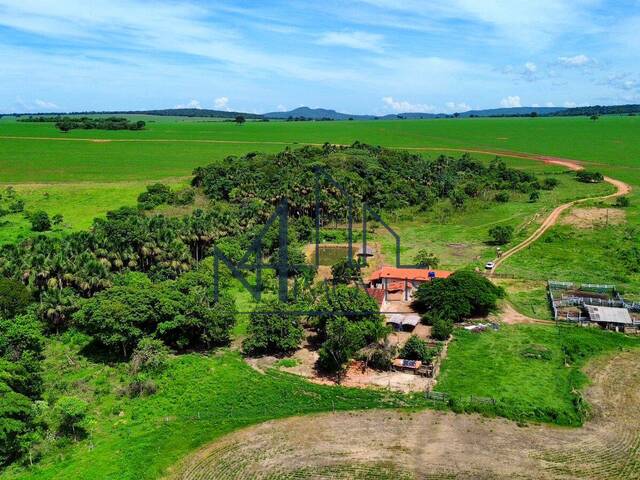 #1616 - Fazenda para Venda em Mairipotaba - GO - 2