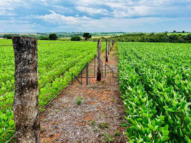 #1622 - Fazenda para Venda em Piracanjuba - GO - 2