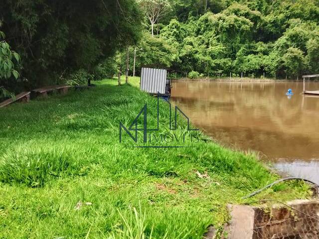 #1625 - Fazenda para Venda em Petrolina de Goiás - GO - 1