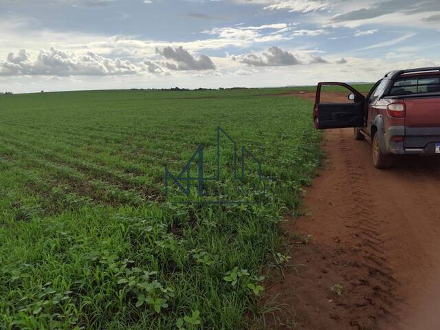 #1632 - Fazenda para Venda em Caldas Novas - GO - 1