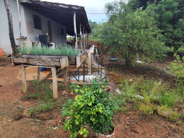 #1632 - Fazenda para Venda em Caldas Novas - GO - 2