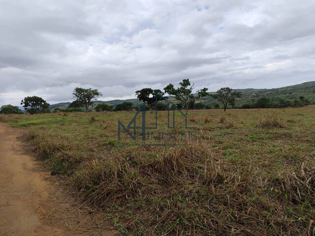 #1646 - Fazenda para Venda em Cromínia - GO - 3