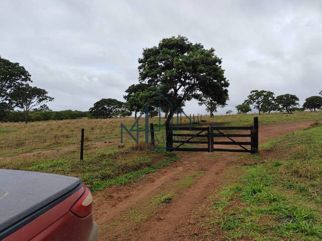 #1646 - Fazenda para Venda em Cromínia - GO - 2