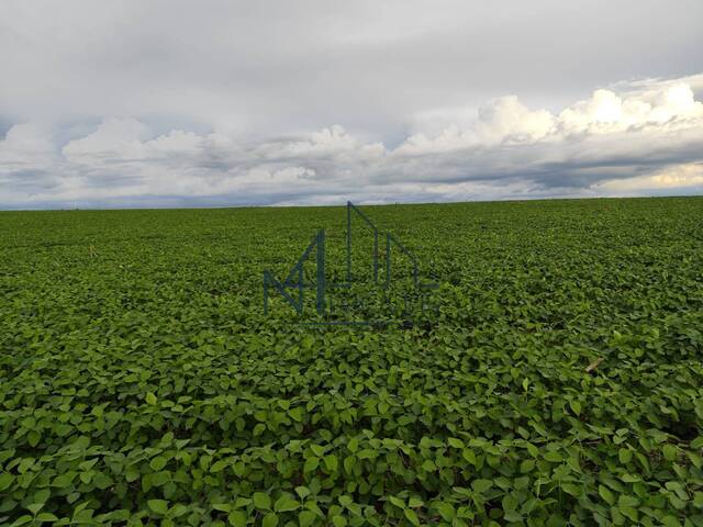 #1671 - Fazenda para Venda em Santa Cruz de Goiás - GO - 1