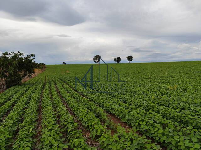 #1671 - Fazenda para Venda em Santa Cruz de Goiás - GO - 2