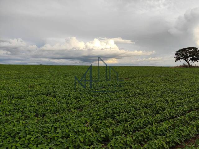 #1671 - Fazenda para Venda em Santa Cruz de Goiás - GO - 3