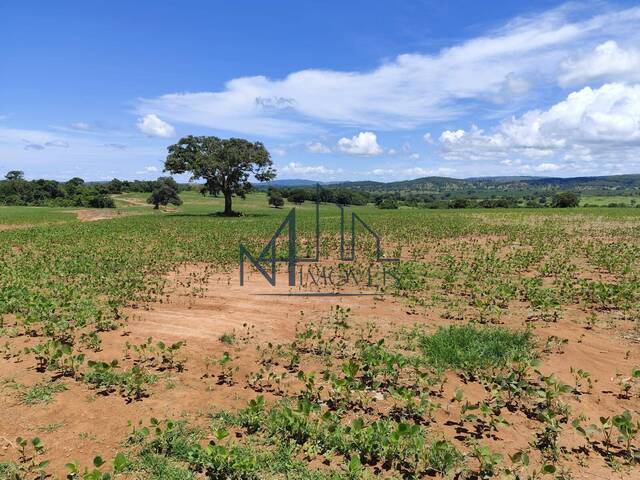 #1673 - Fazenda para Venda em Mairipotaba - GO - 1