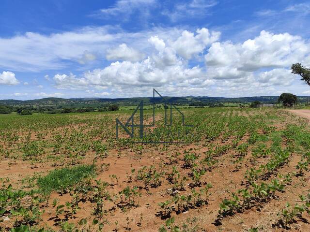 #1673 - Fazenda para Venda em Mairipotaba - GO - 3