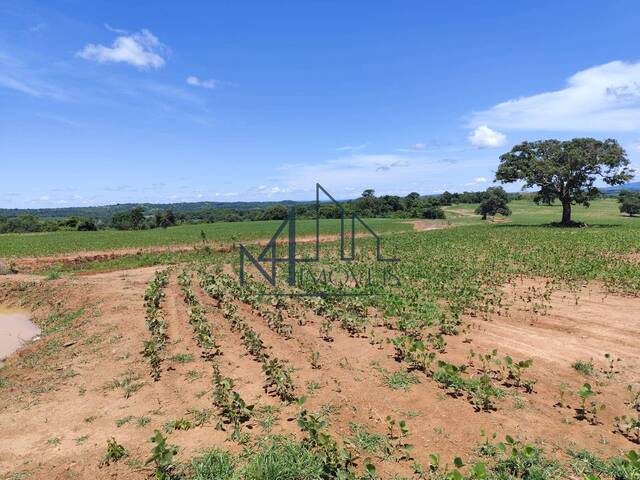 #1673 - Fazenda para Venda em Mairipotaba - GO - 2