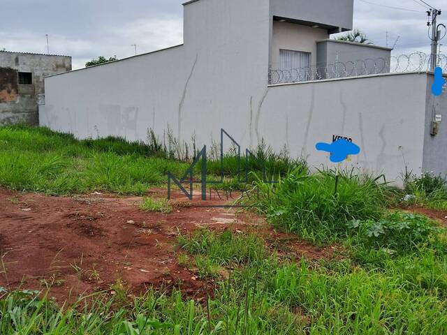 #1684 - Terreno para Venda em Aparecida de Goiânia - GO - 1