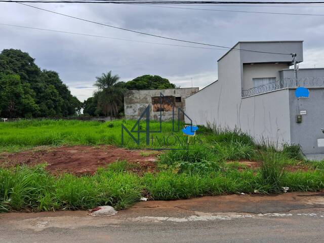 #1684 - Terreno para Venda em Aparecida de Goiânia - GO - 3