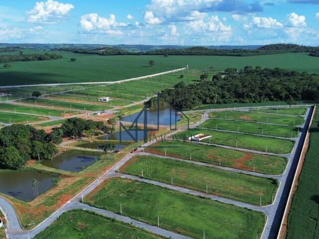 #1685 - Terreno para Venda em Leopoldo de Bulhões - GO - 2