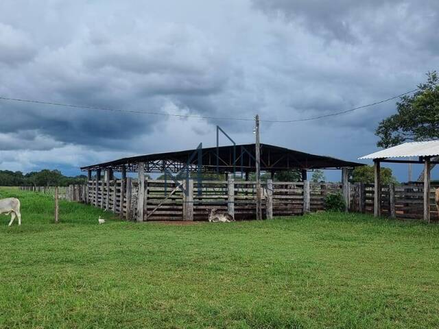 #1710 - Fazenda para Venda em Cocalinho - MT - 3